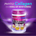 PHYTO Collagen King of Whitening 19X STEM CELL Skin Anti Aging 100% Original